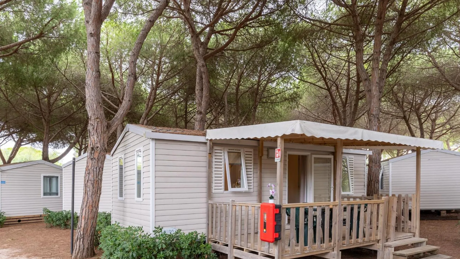 Hotel Club Del Sole Orbetello Family Collection Ferienpark